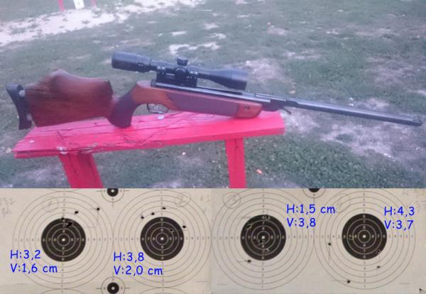 Air gun Walther LGV air rifle